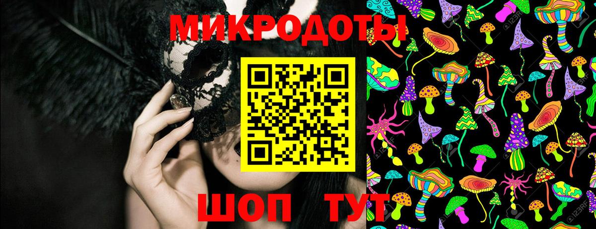 Великий Новгород  Галлюциногенные грибы прущие грибы  Вход с VPN 