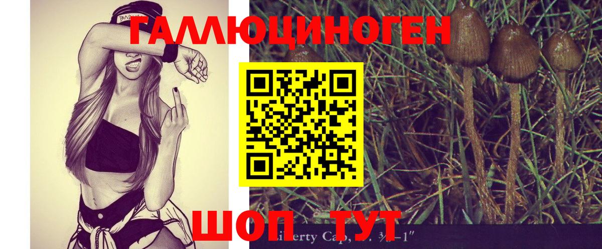 Псилоцибиновые грибы Magic Shrooms Великий Новгород